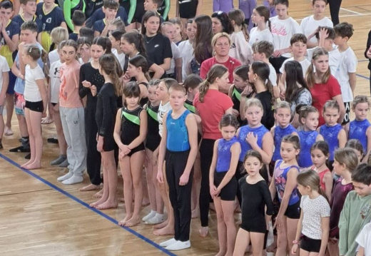 Tekmovanje iz gimnastike5
