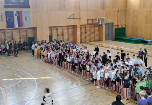 Tekmovanje iz gimnastike4