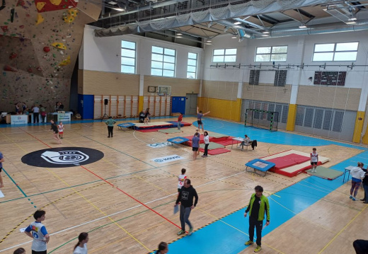 Tekmovanje iz gimnastike7